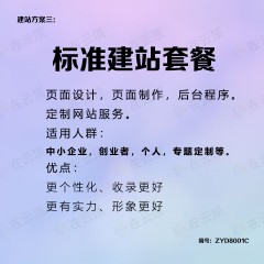 网站标准建站（页面设计制作开发）服务套餐