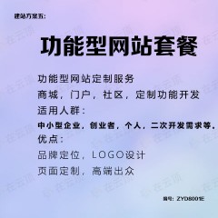 网站（功能型网站）开发服务套餐